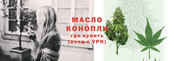 сатива Гусь-Хрустальный