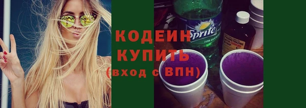 сатива Гусь-Хрустальный