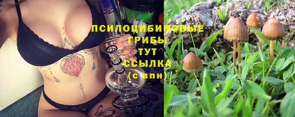 сатива Гусь-Хрустальный
