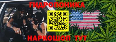 бошки Берёзовский