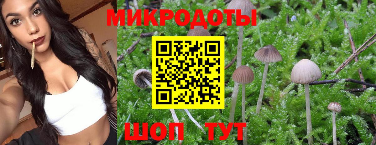 Псилоцибиновые грибы Psilocybe  даркнет сайт  Галлюциногенные грибы Psilocybe  Железногорск  Вход с VPN 
