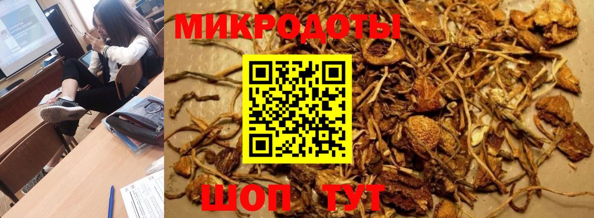 купить закладку  Железногорск  Псилоцибиновые грибы Psilocybine cubensis 